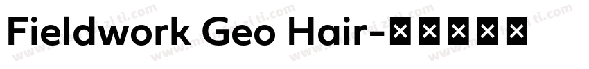 Fieldwork Geo Hair字体转换